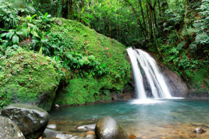 Cascade en foret tropicale